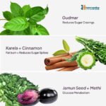 Antidiabetic Herbal Tea | Gudmar + Ayurvedic Blend for Blood Sugar Balance & Insulin Sensitivity - Image 3