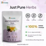 Antidiabetic Herbal Tea | Gudmar + Ayurvedic Blend for Blood Sugar Balance & Insulin Sensitivity - Image 5