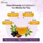 Antidiabetic Herbal Tea | Gudmar + Ayurvedic Blend for Blood Sugar Balance & Insulin Sensitivity - Image 6