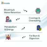 Slimming Tea | Green Tea + Ayurvedic Blend for Fat Burn & Metabolism Support - Image 5