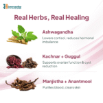 PCOD Relief Tea | Ashwagandha + Ayurvedic Hormone Balance Blend - Image 3